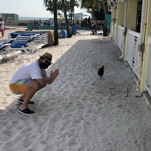 Meet your Posher, Samuel